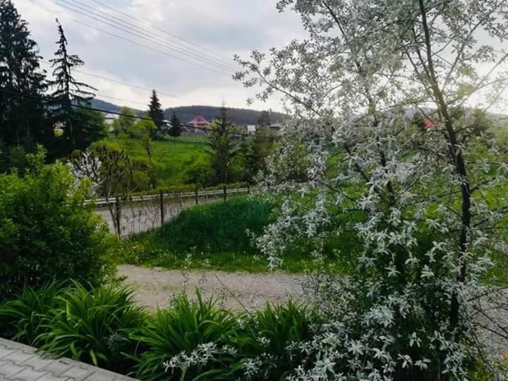 Pensiunea Valurile Bistritei Vatra Dornei Esterno foto